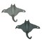Set of 2 Cast Iron Stingray Wall Hooks Blue Gray Coastal Nautical Decor